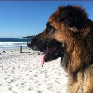 Meet your Posher, Mark